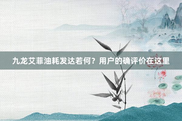 九龙艾菲油耗发达若何？用户的确评价在这里